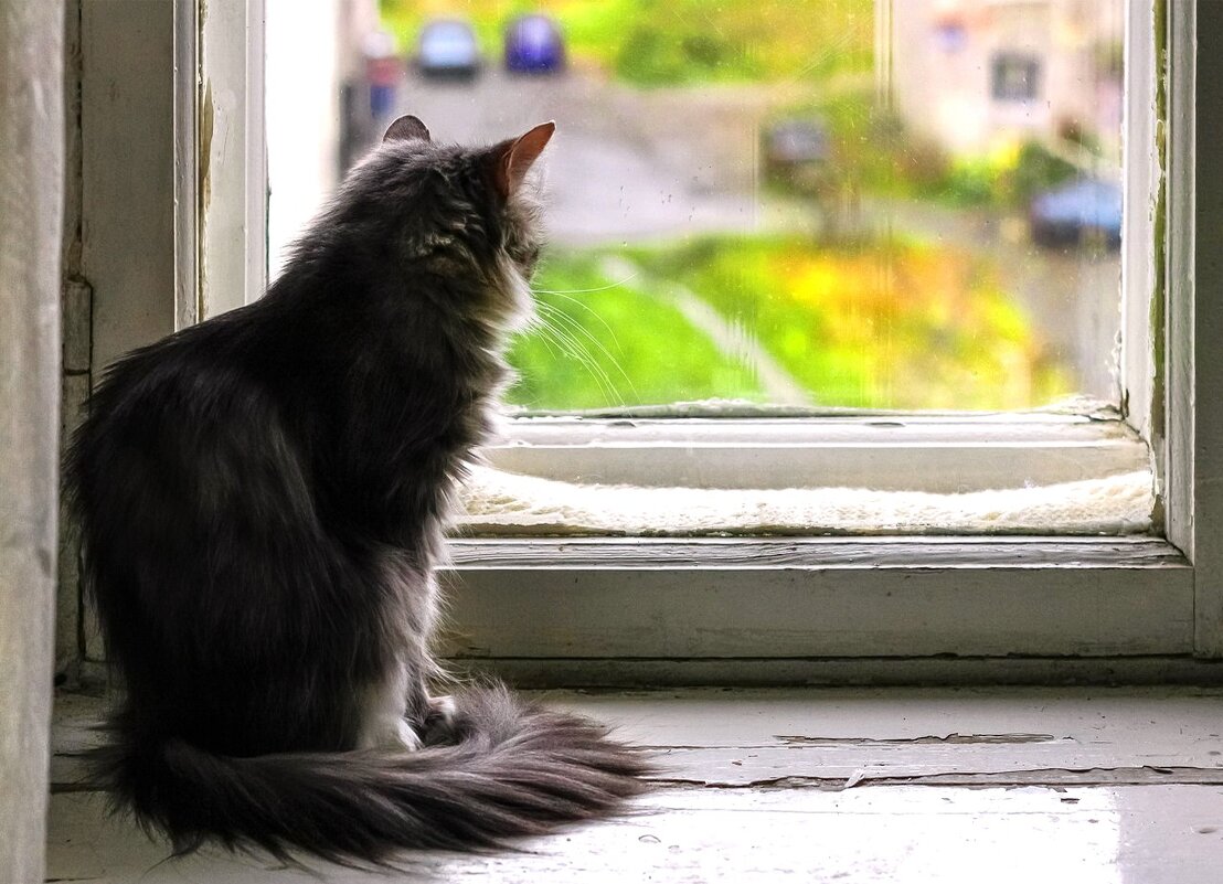 Осенняя пора.. - Василий 