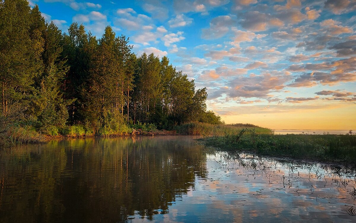 Река Редьма - Николай Дергачев