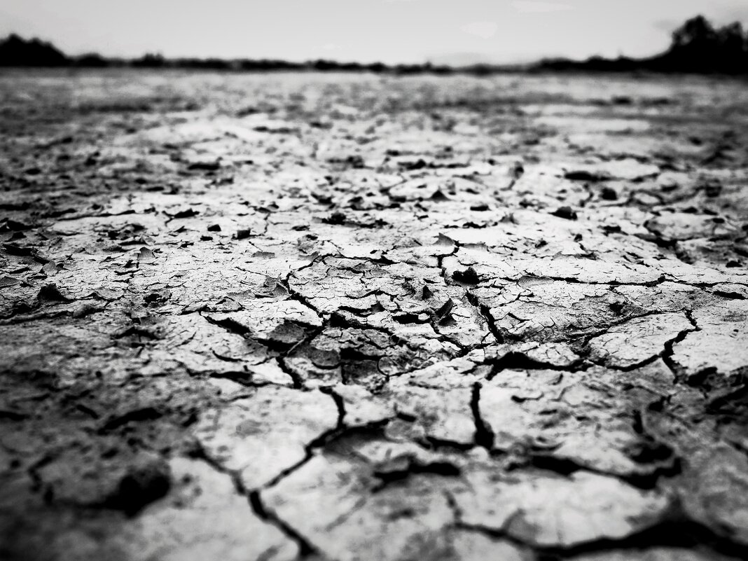 Жажда - Магомед .