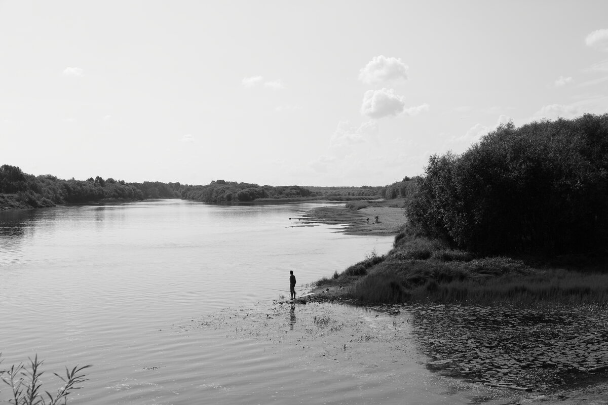 ... - Денис Безногов