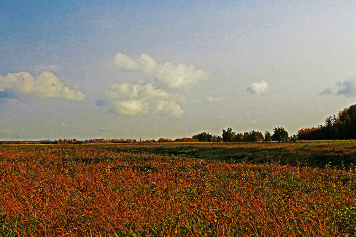 Сентябрь...Туман рвссеивается! - Владимир 