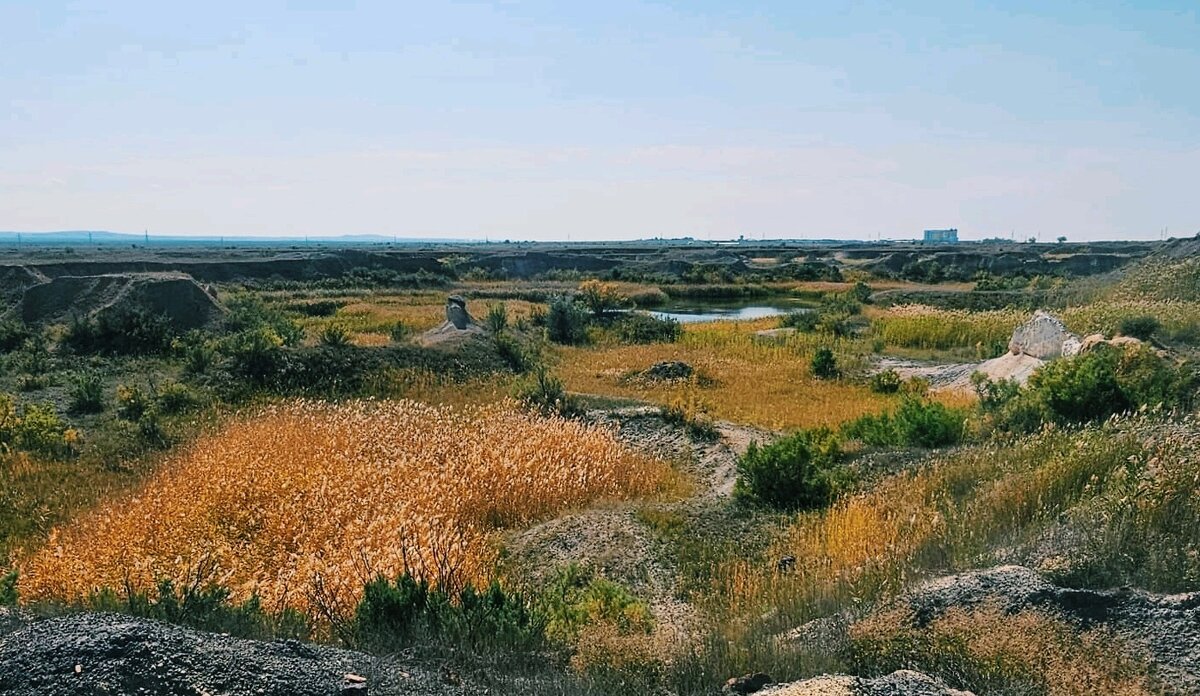 Осень подбирается - Георгиевич 