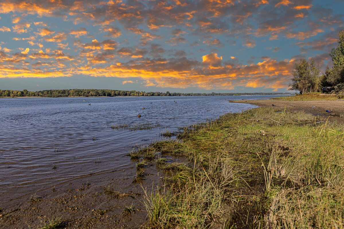 берег Оби ранней осенью - Дмитрий Карышев