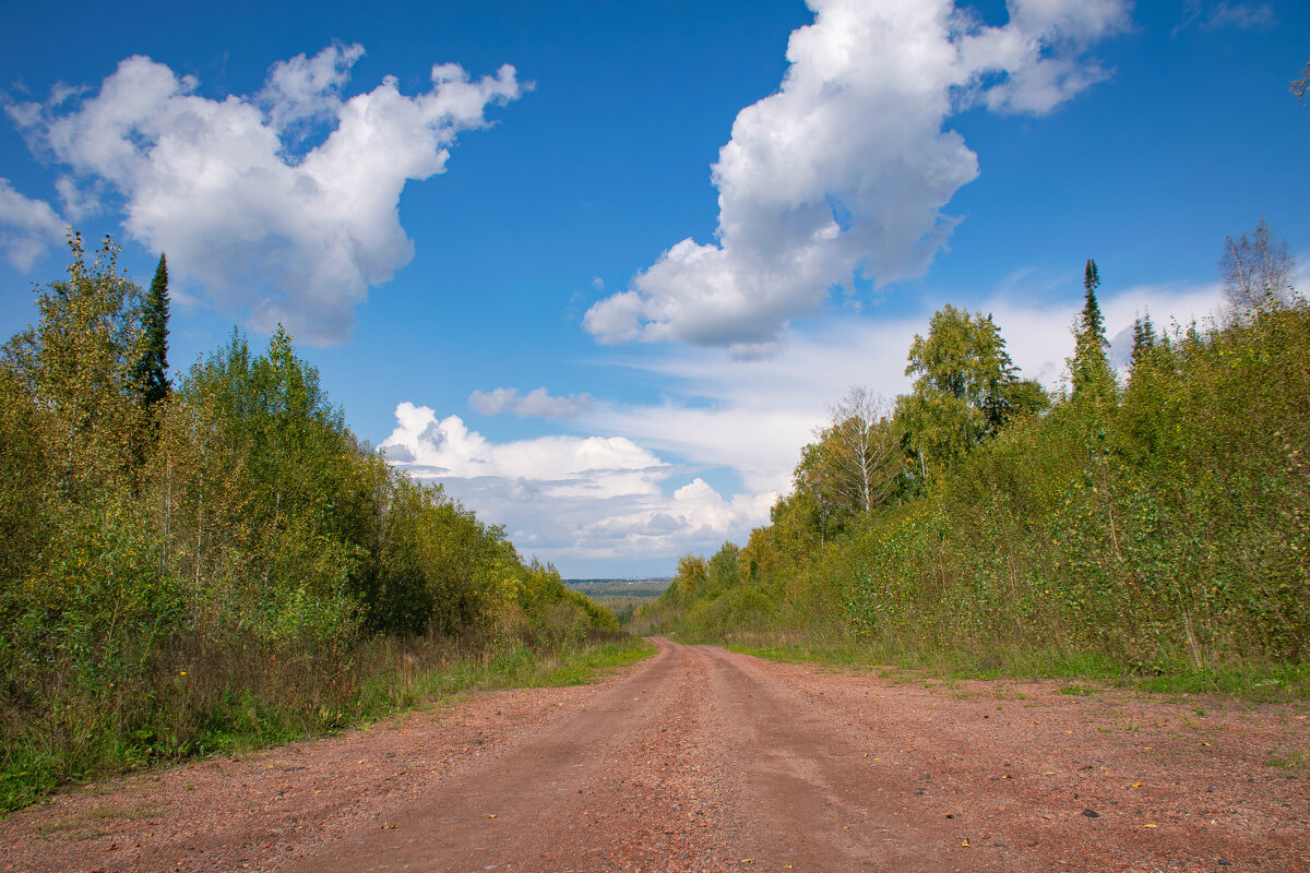 - - Владимир Мигонькин