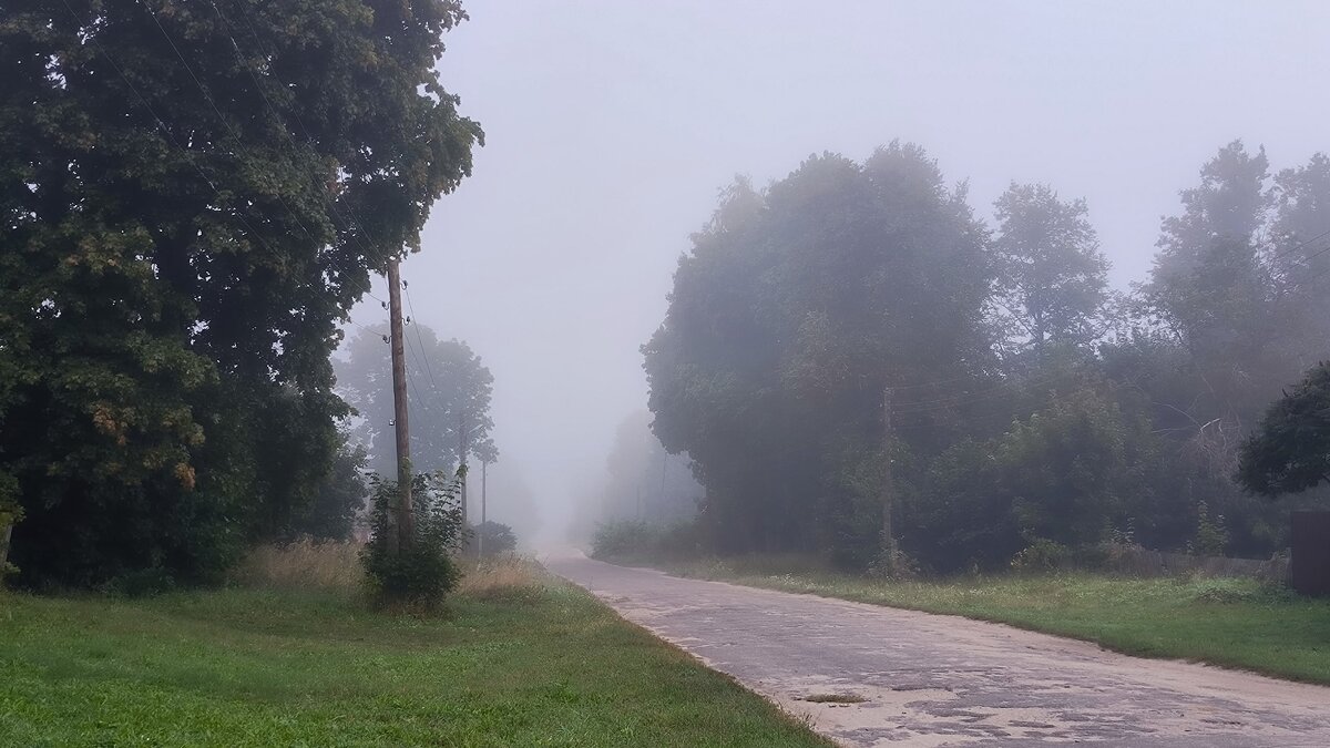 Утренний туман. - Ольга 