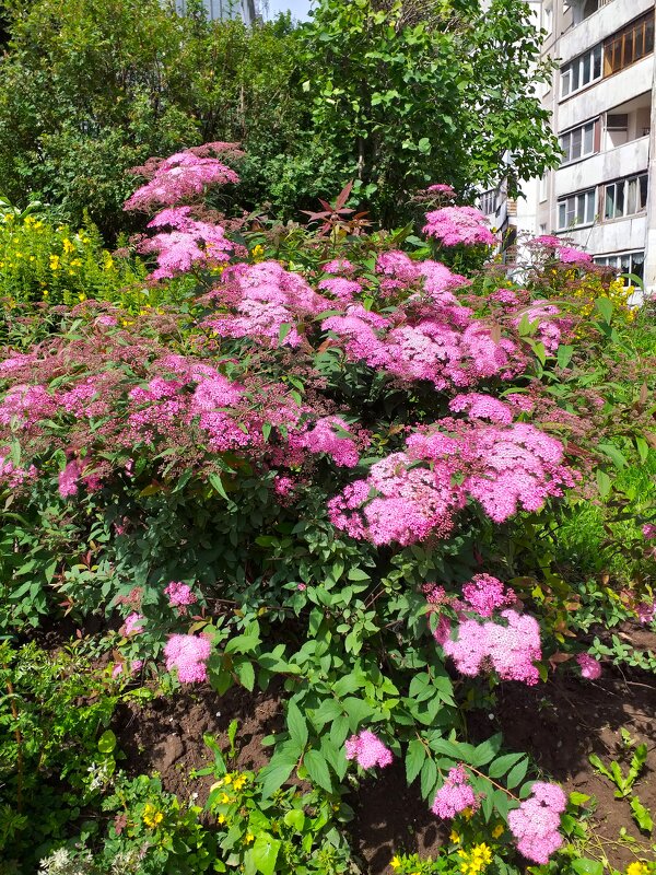в городе... - Галина Флора