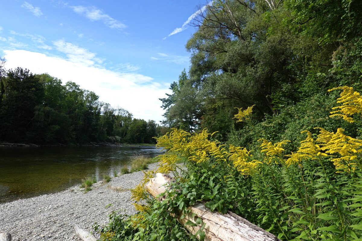 "У сентября удивительная способность влюблять в себя постепенно. "... - Галина 