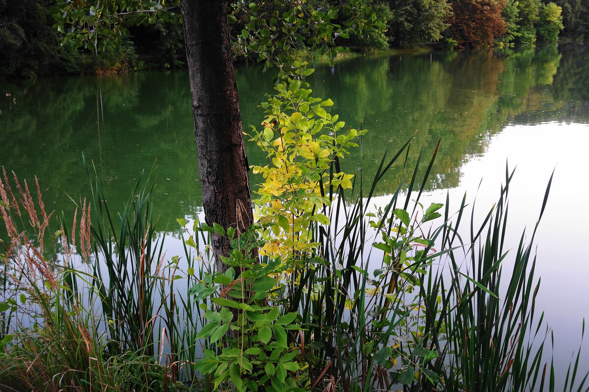 Сентябрьские зарисовки - Рита Симонова