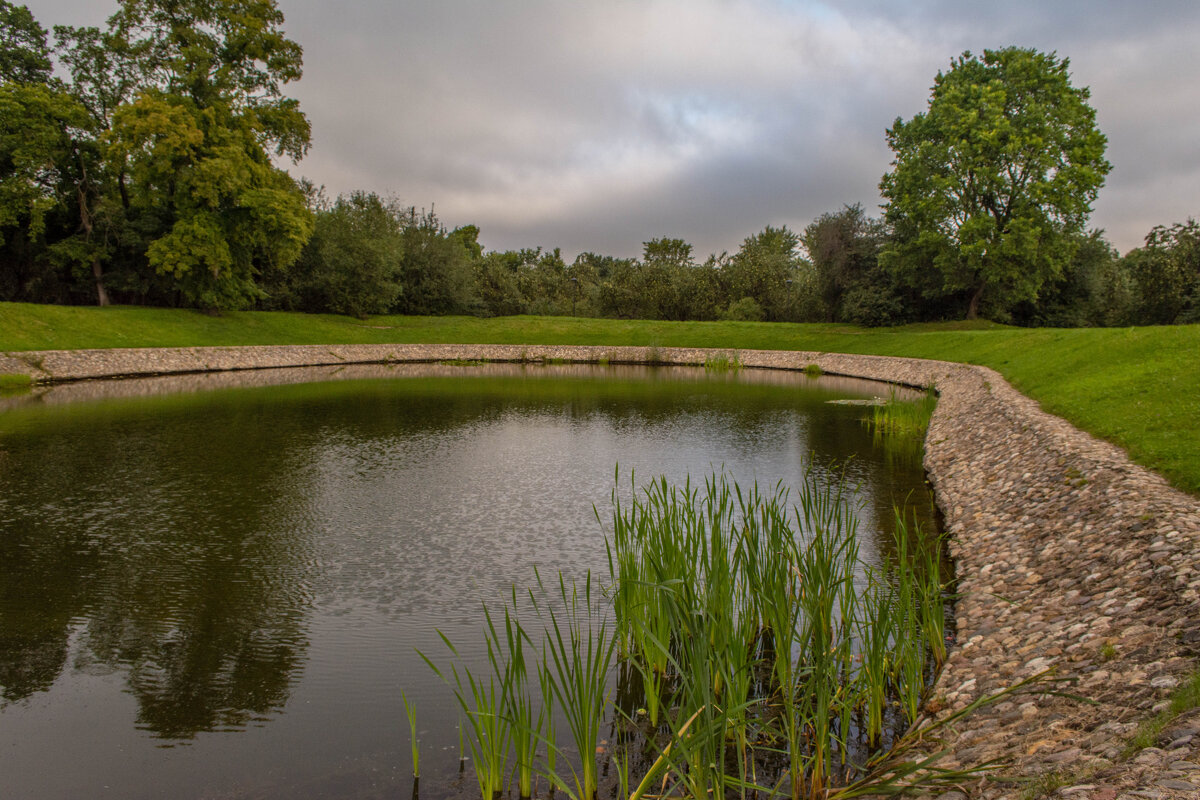 Прудик - Владимир Жуков