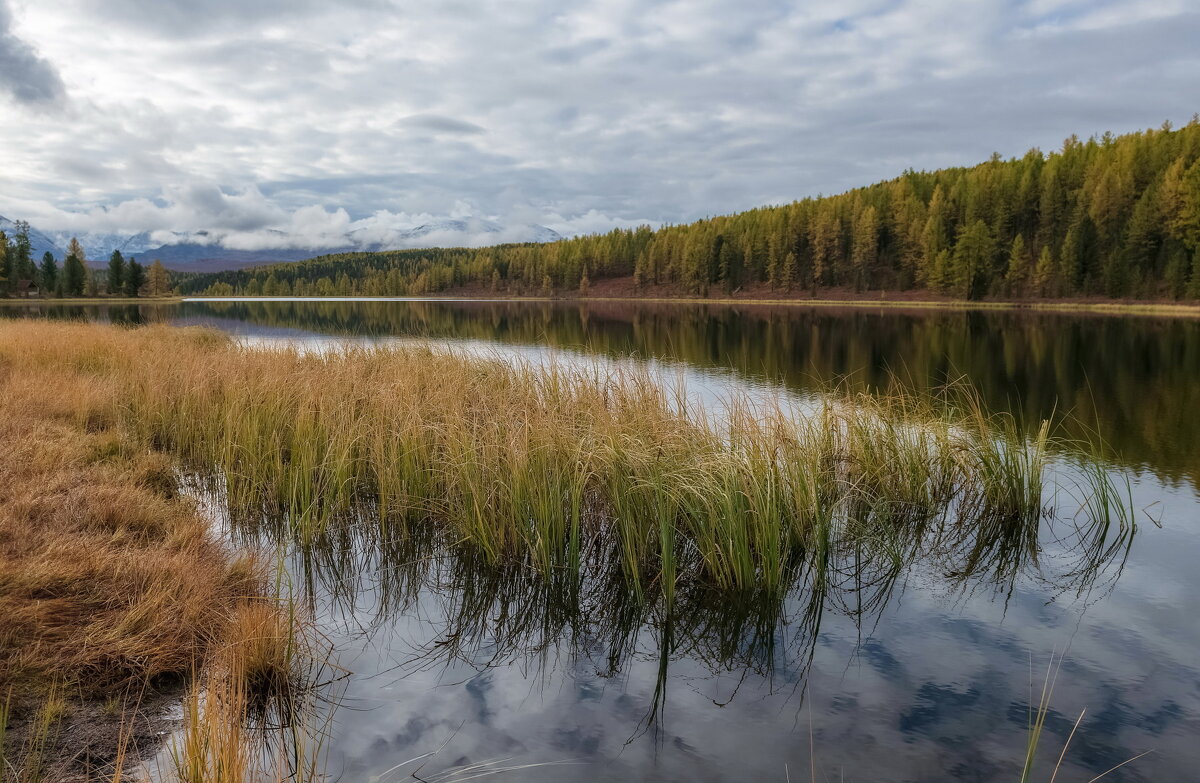 Озеро Киделю - Марина Фомина.