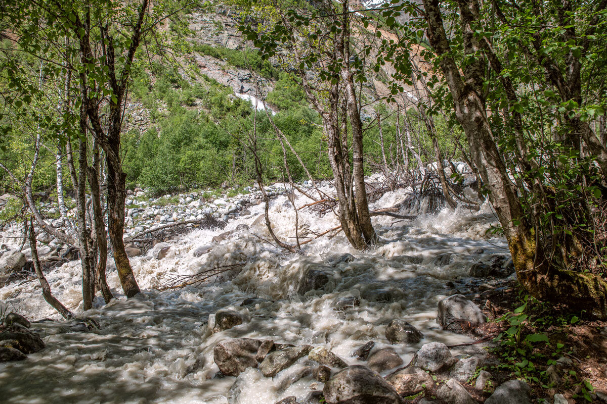 Молочные реки, кисельные берега реки Чалаади, Сванетия, Грузия. - Дина Евсеева