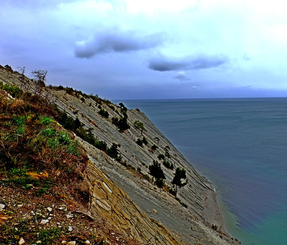 Берег моря - Мишель71 