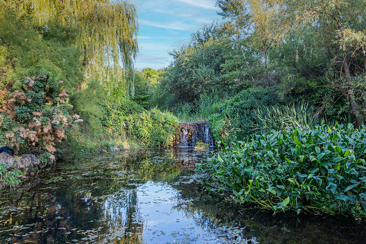 Старый, заброшенный пруд - Юрий Яловенко