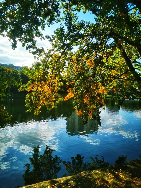 Московские пруды - Сергей Б.
