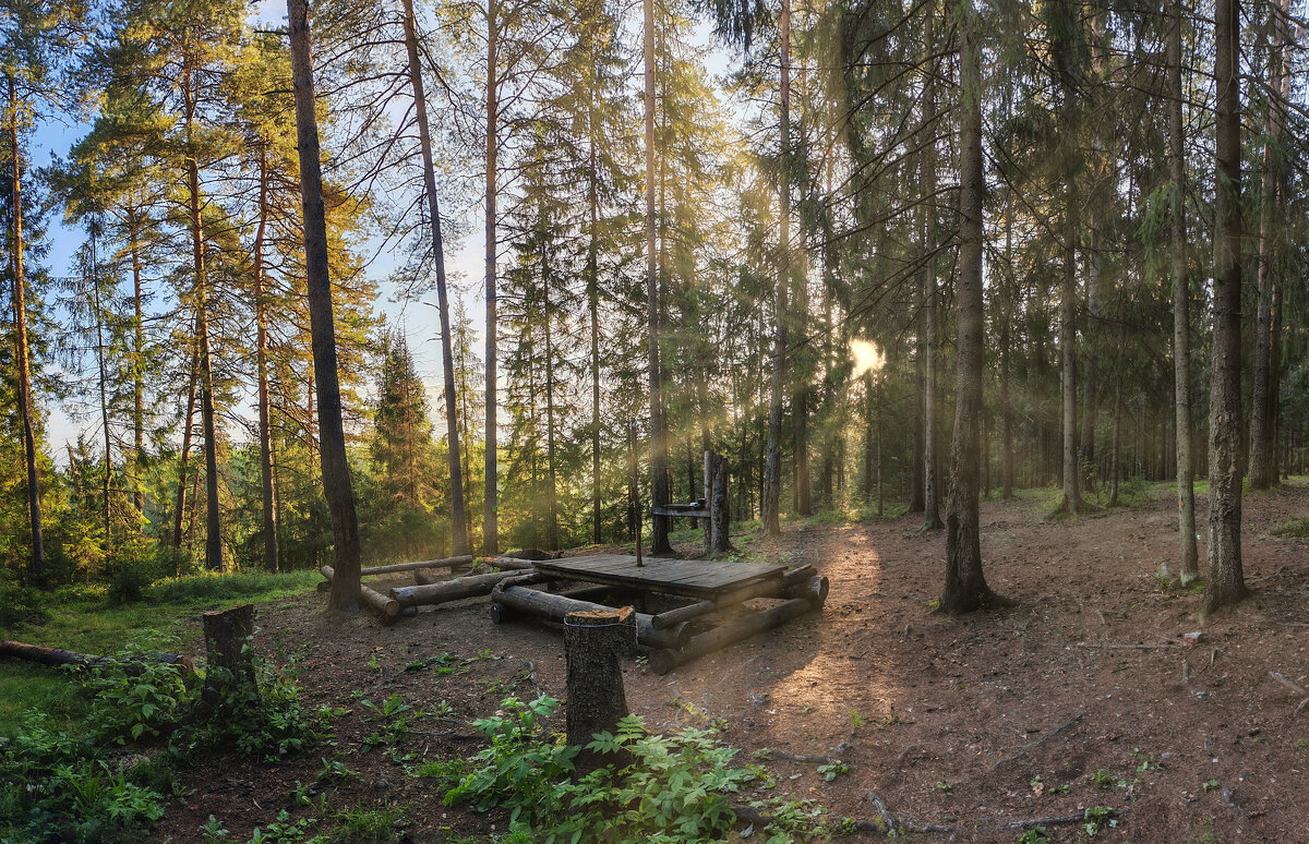 Солнце на Волчьем  овраге - Денис Бочкарёв