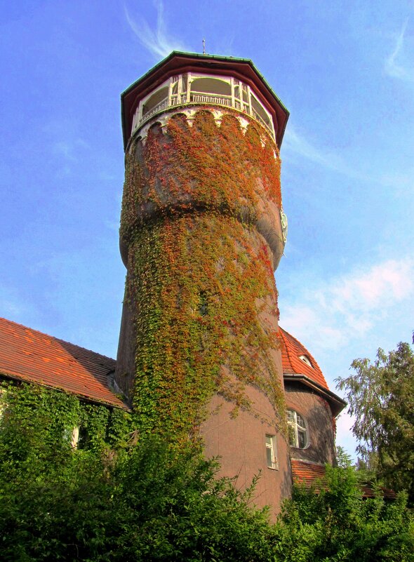 Водогрязелечебница - Сергей Карачин