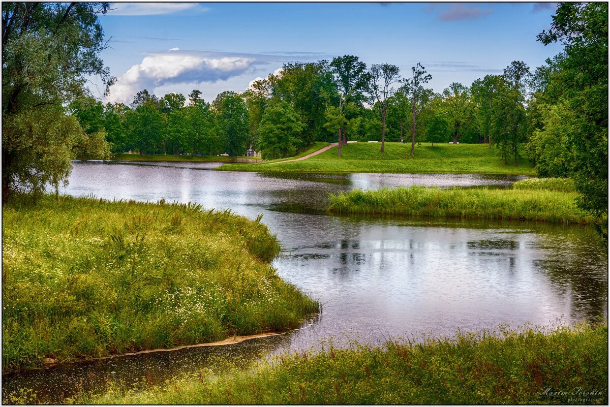 Тишина - Максим Сорокин