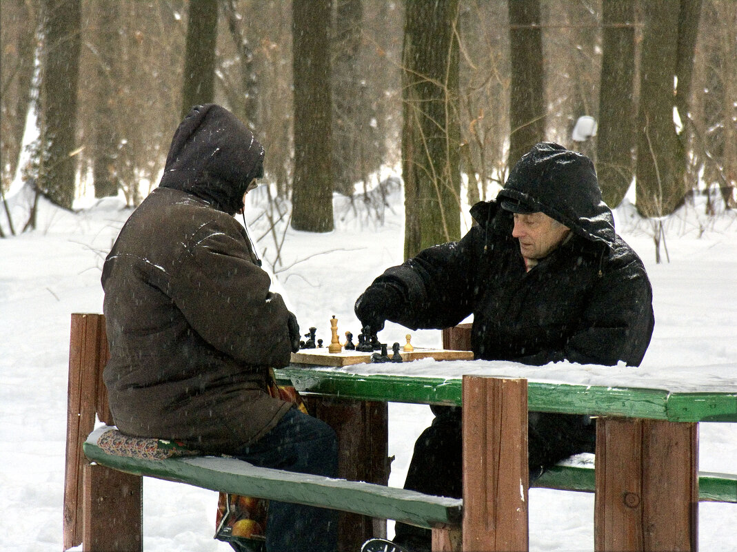 Зимний мат - Владимир Шишкин