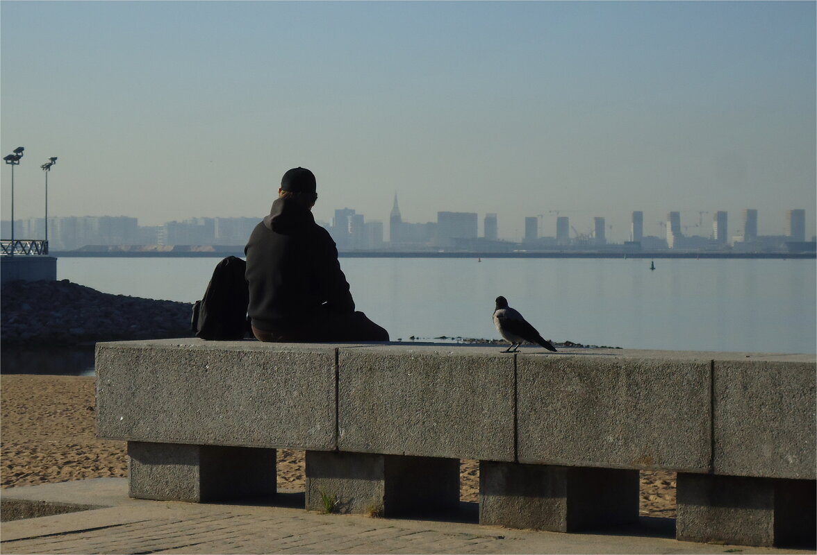 "вдали о шума городского" - sv.kaschuk 