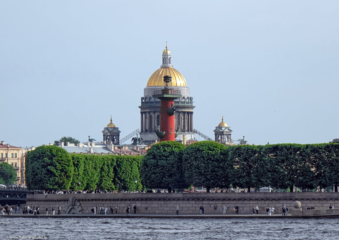 Вписалась - Игорь Корф