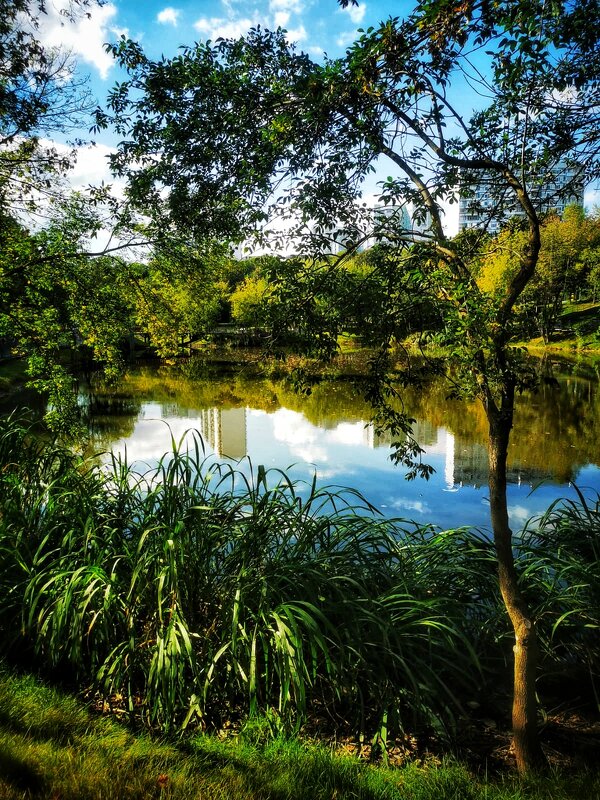 Парк Каскад - Сергей Б.