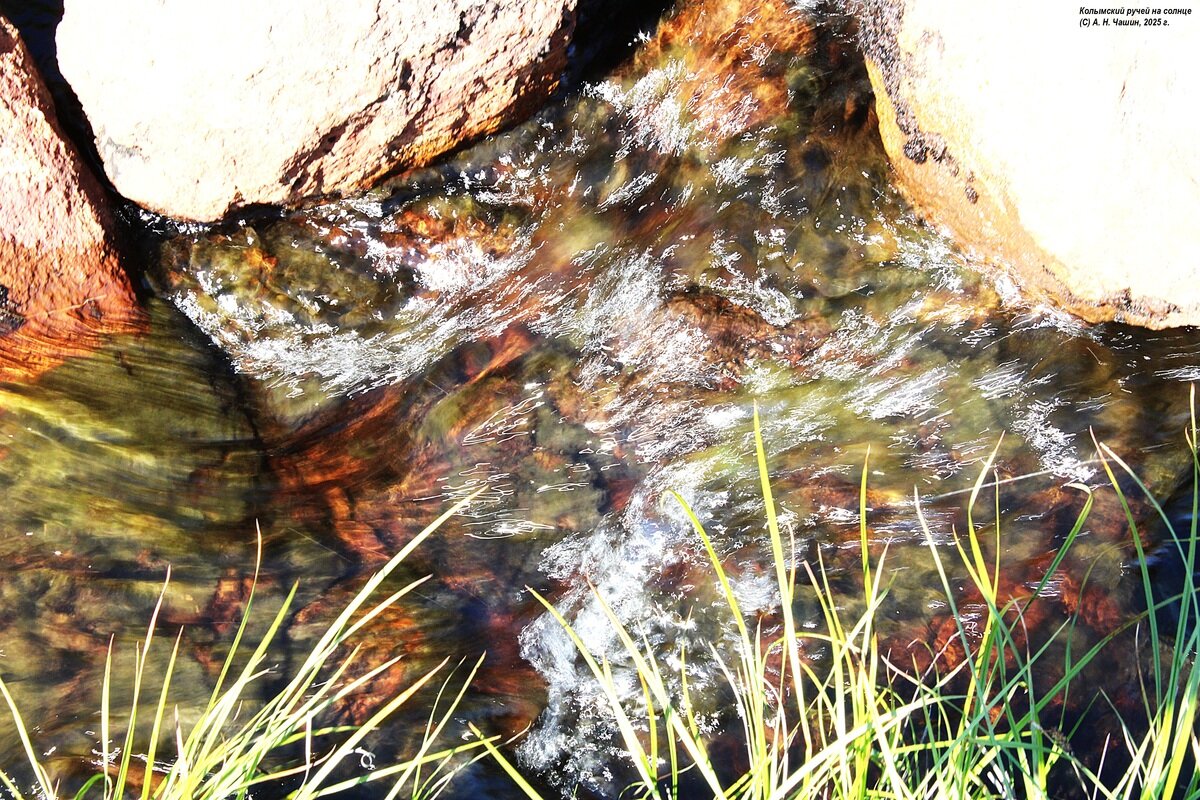Течение ручья - Александр Чашин