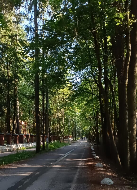 прогулка в Переделкино - Галина R...