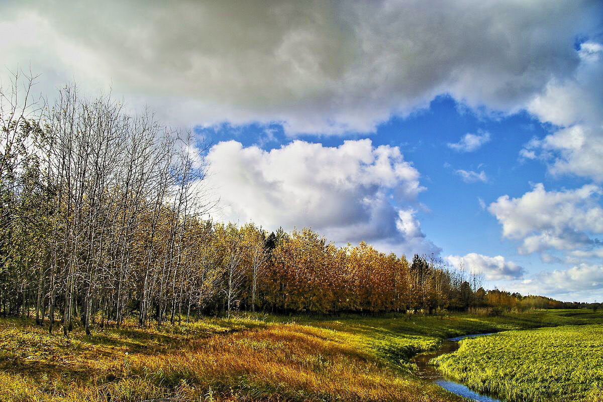 Золотая осень на протоке Девкина! - Владимир 