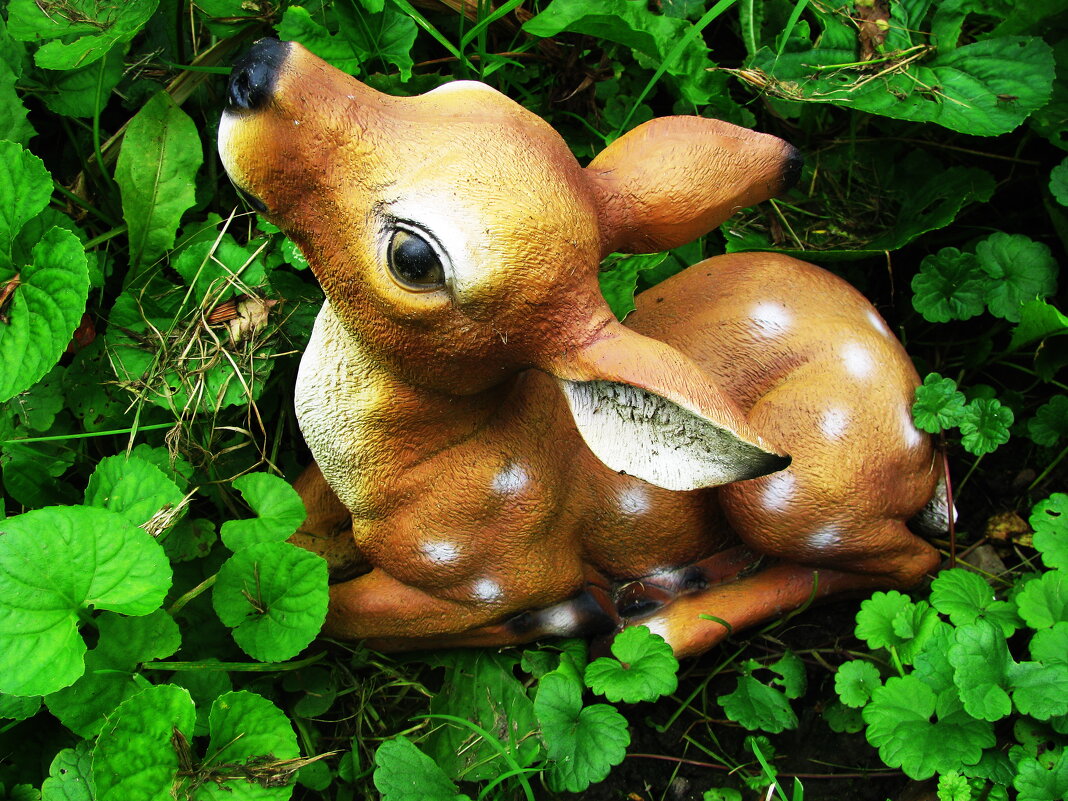 В саду - Людмила Смородинская