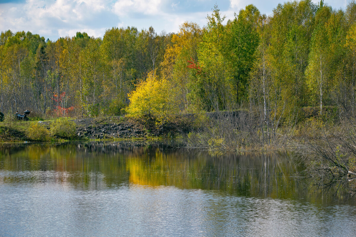 - - Владимир Мигонькин