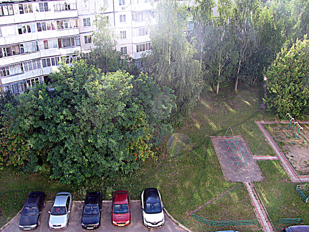 Лето. - Владимир Драгунский