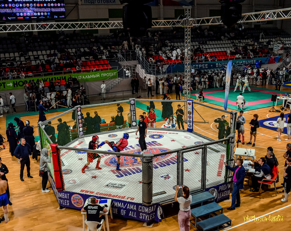 Октагон (ММА) - arkadii 