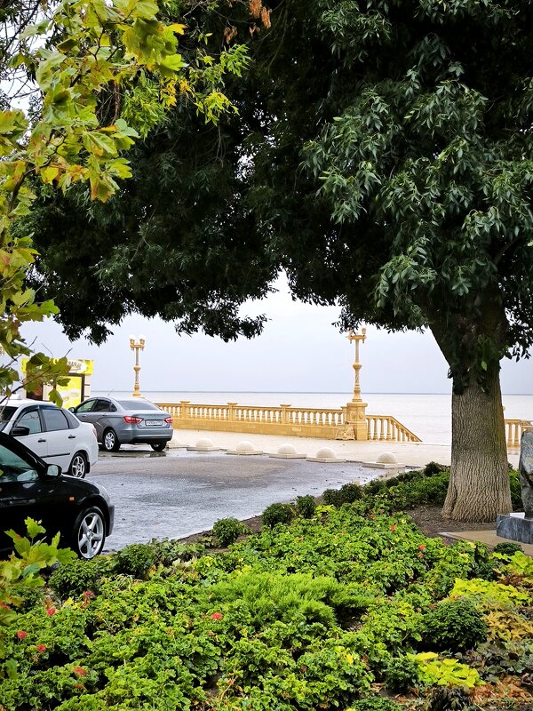 *** - Oksana Verkhoglyad