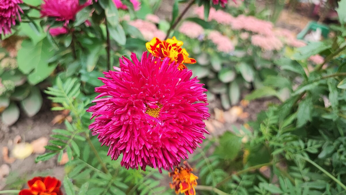 ,,, - Сергей Тимоновский