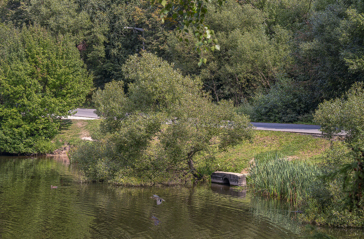 Усадьбы Москвы - Aleksey Afonin