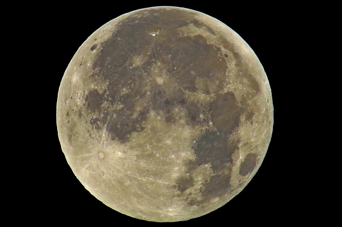 Кукурузная Луна - Сеня Белгородский Кукурузная Луна - Сеня Белгородский