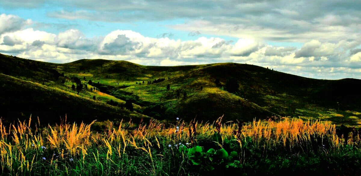 Предосеннее - Галина Шеина-Мюльдорфер