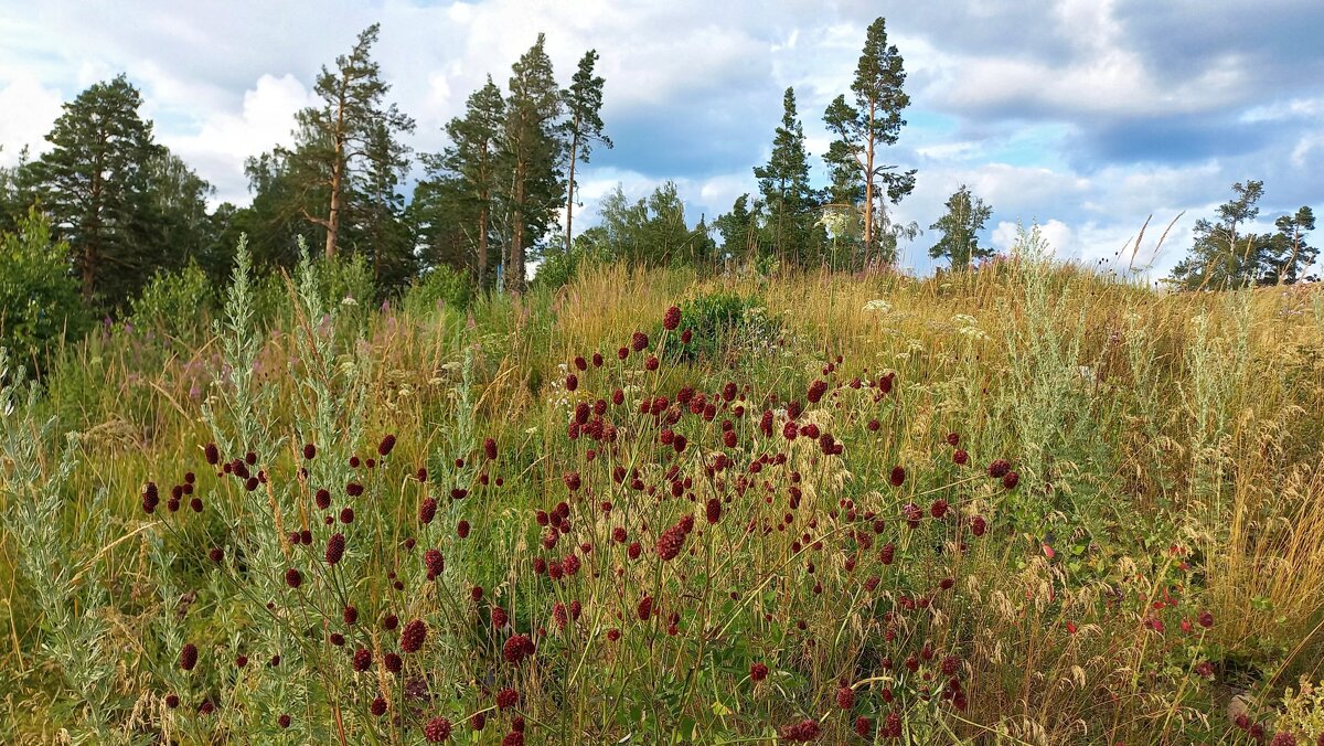Лёгкий бриз - Hope 