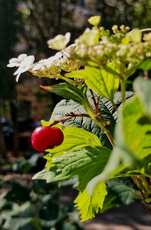 Когда просто, хорошо и красиво - Любимова Ольга 