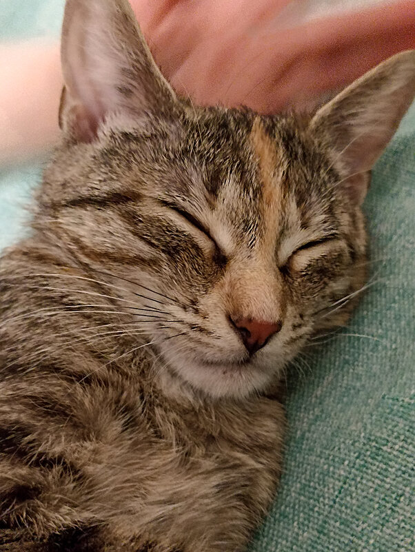 *** - Лилия * *** - Лилия *