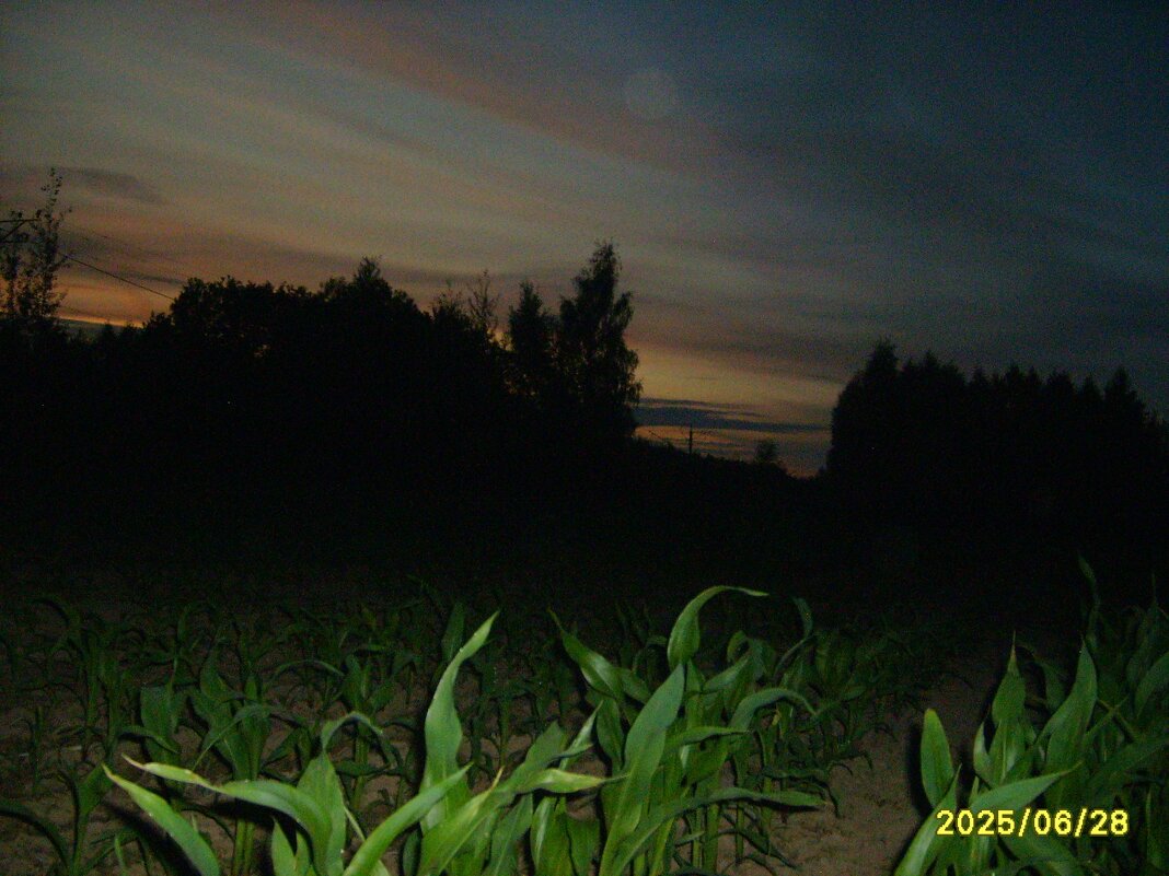 закат - fogmeadowww m