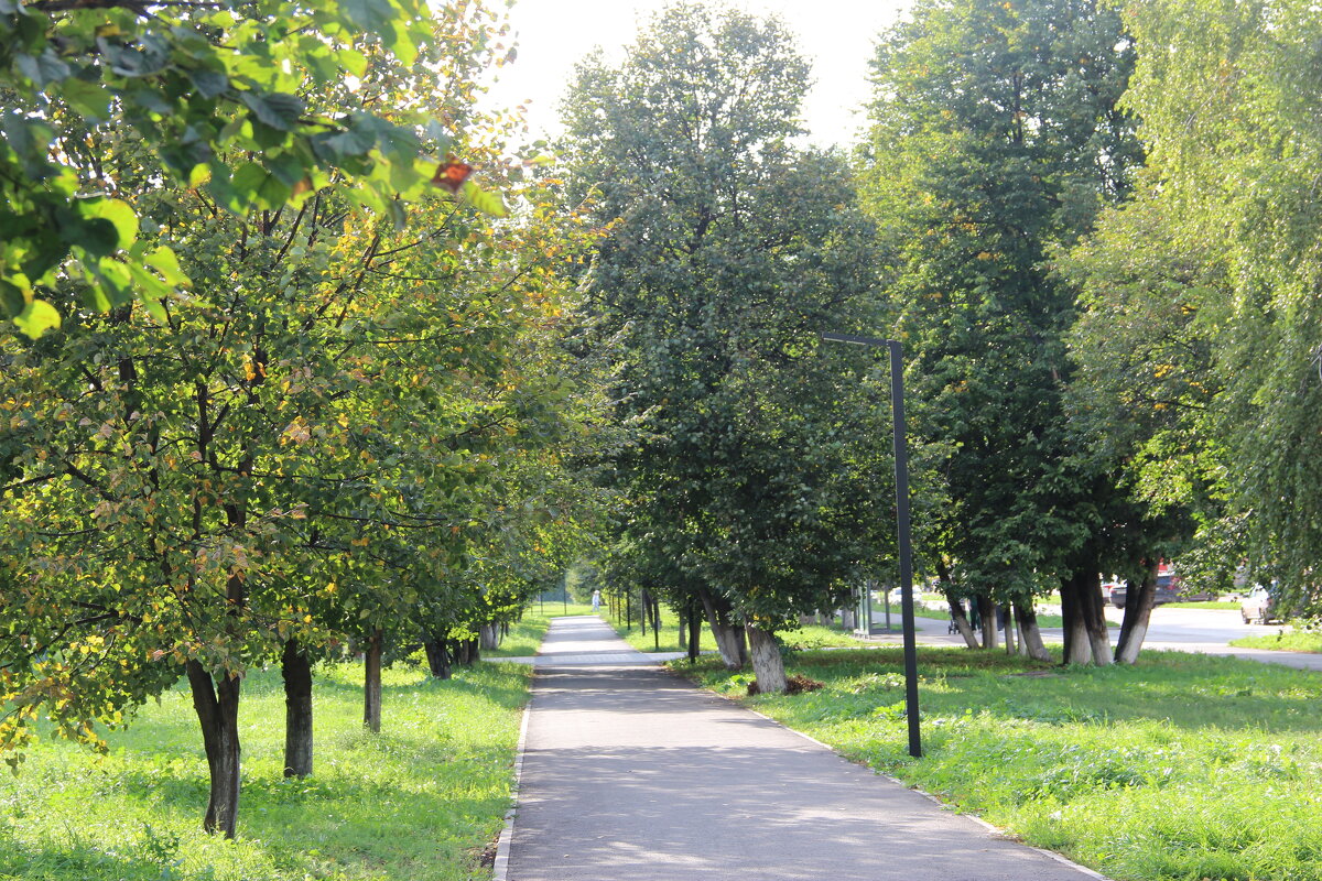 Сентябрь. - Венера Чуйкова Сентябрь. - Венера Чуйкова