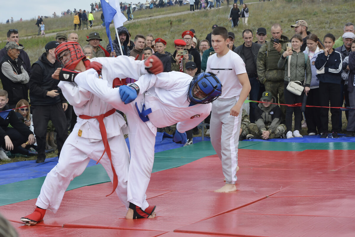 Точный удар.. - Дмитрий Петренко Точный удар.. - Дмитрий Петренко