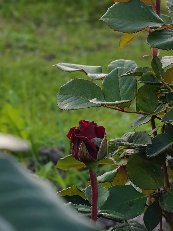 Сентябрь - Андрей 