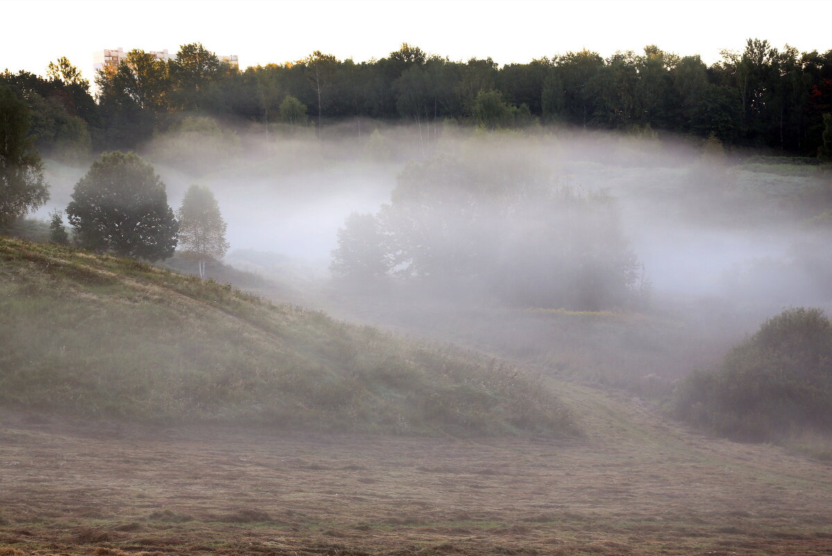 Утро 10 сентября. Царицыно - Михаил Бибичков Утро 10 сентября. Царицыно - Михаил Бибичков