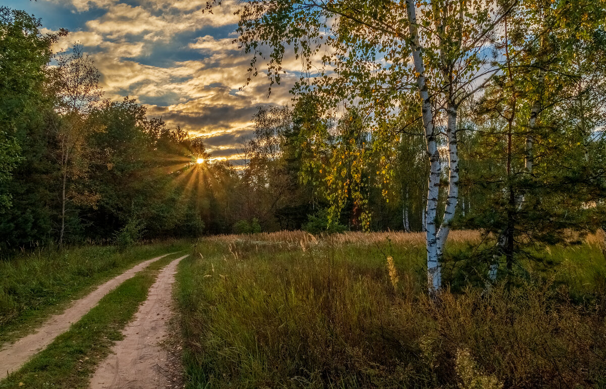 Осень она не спросит 7 - Андрей Дворников