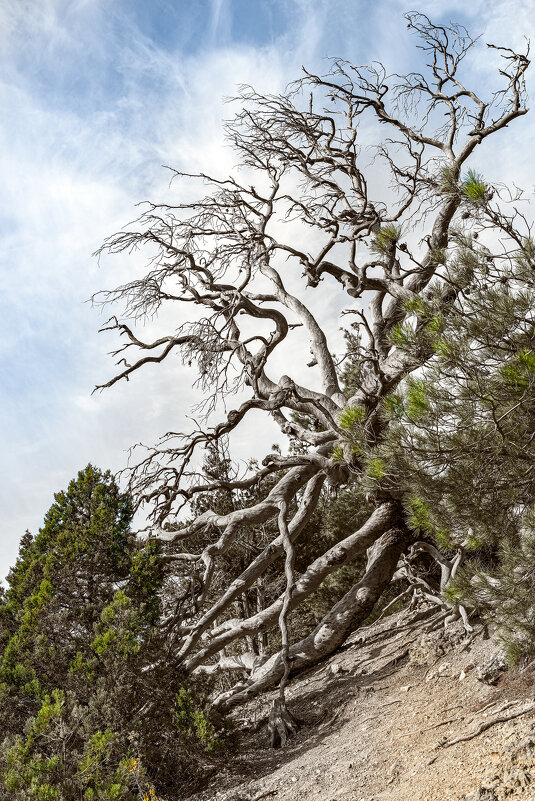 **** - Вячеслав К