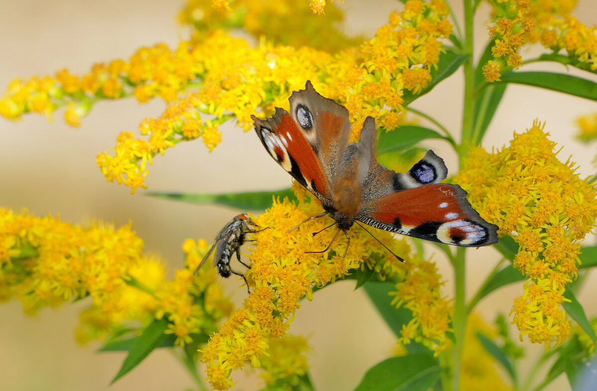 из вчерашней съёмки 4 - Александр Прокудин из вчерашней съёмки 4 - Александр Прокудин
