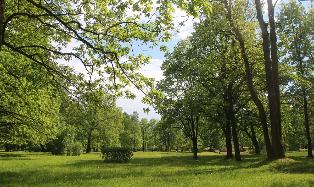 Орловский парк - Наталья Герасимова Орловский парк - Наталья Герасимова