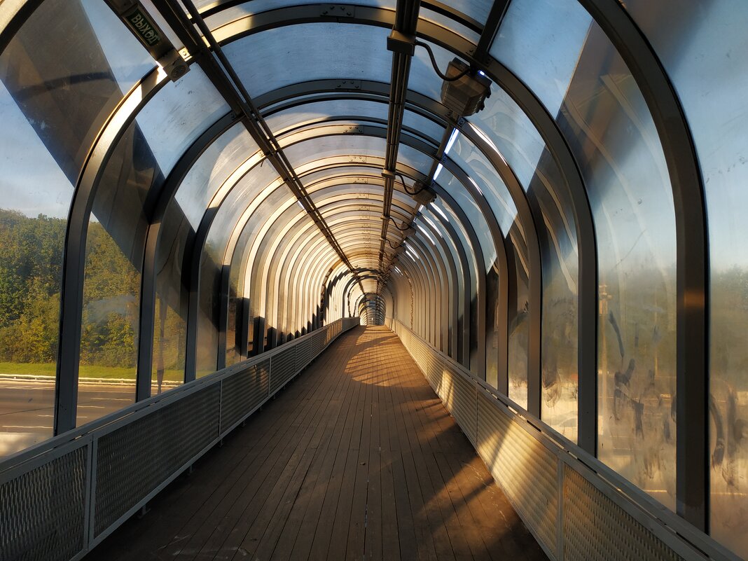 Дорога жизни :-) - Андрей Лукьянов